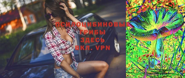 метадон Алексин