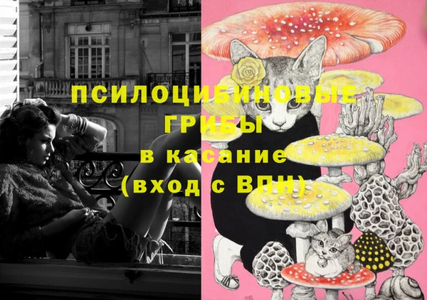 стафф Абаза