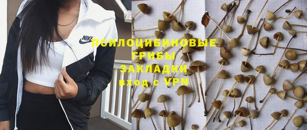стаф Бежецк