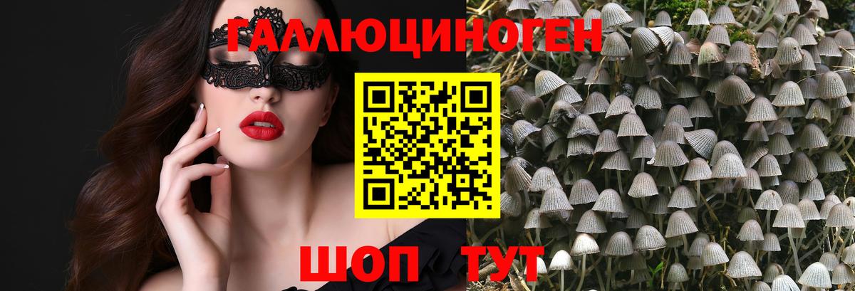 Галлюциногенные грибы Psilocybine cubensis Киреевск