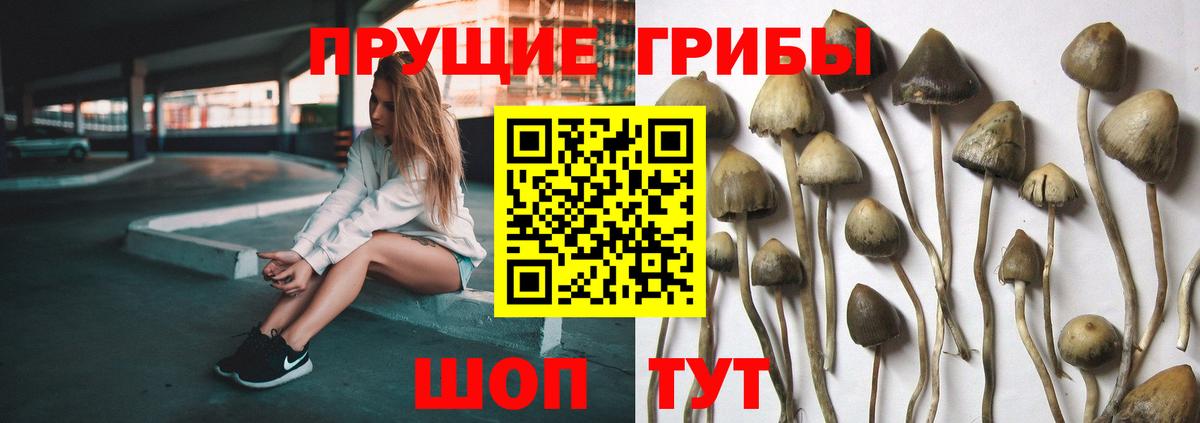 Киреевск  Галлюциногенные грибы мухоморы  Псилоцибиновые грибы Psilocybe  закладка  Вход с VPN 